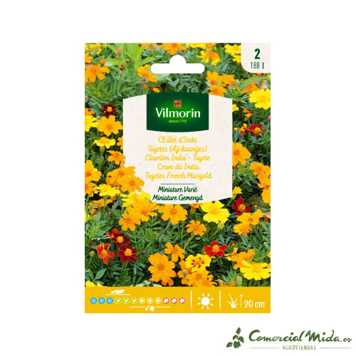 Sobre Semillas VILMORIN Clavelón India Miniatura Variado
