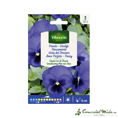 Sobre Semillas VILMORIN Pensamiento Gigante Lago de Thun