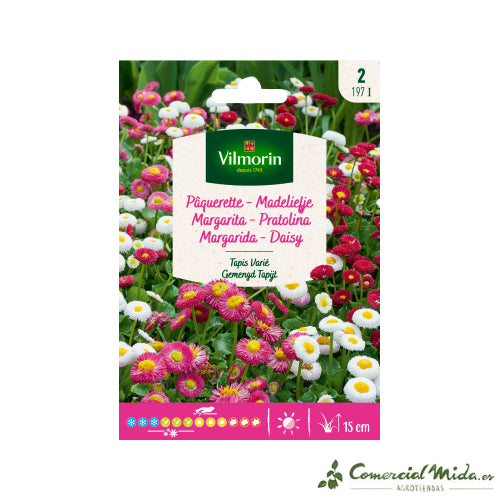 Sobre Semillas VILMORIN Margarita Tapiz Variada