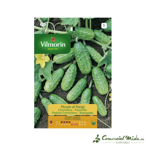 vilmorin saatgut VILMORIN Pickle Piccolo Samen 5gr
