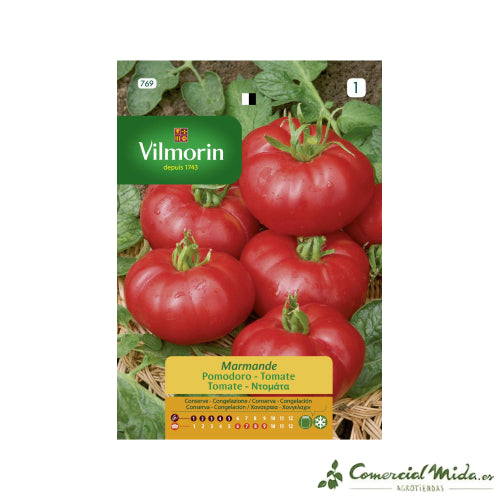 VILMORIN Marmande Tomatensamen 5gr