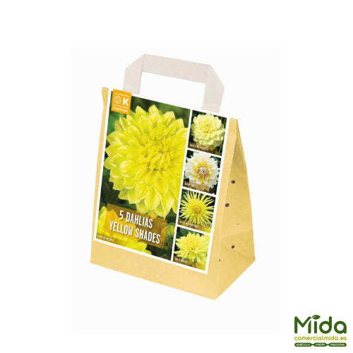 Bolsa de Bulbos Combinados de DAHLIAS Amarillas