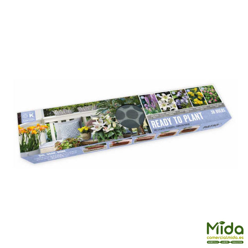 Bandeja de Bulbos Listos para Plantar Combinado de tonos GALAXY