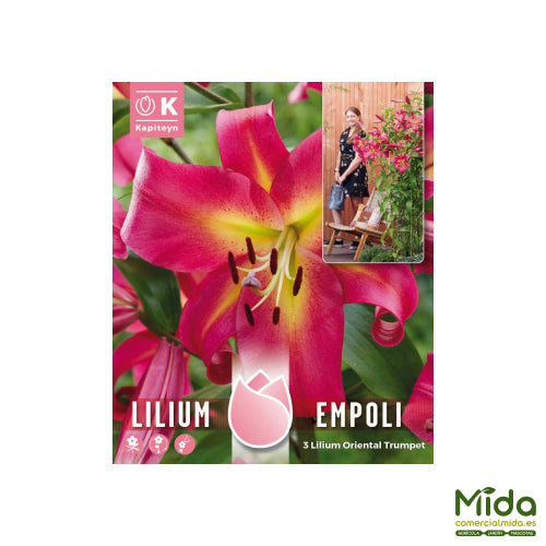 Bolbols de Lirio Árbol EMPOLI con tallos vastos y flores muy aromáticas