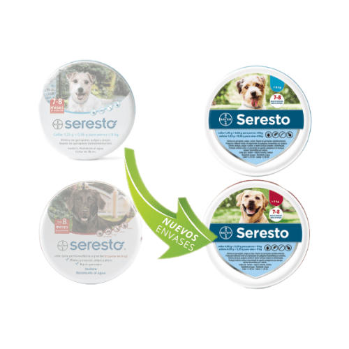 Bayer seresto small dog clearance