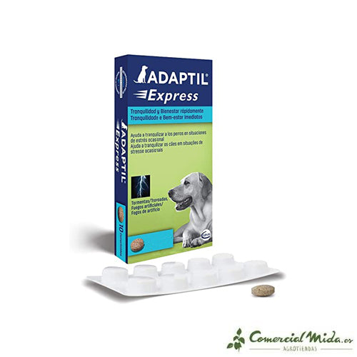Adaptil Express Calmante natural para Perros