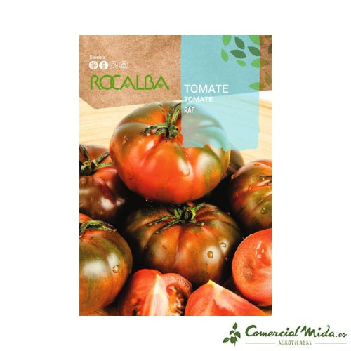 ROCALBA Semillas TOMATE RAF