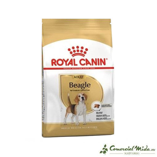 ROYAL CANIN BEAGLE ADULT 