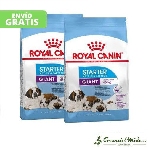 ROYAL CANIN GIANT STARTER pack de 2 unidades