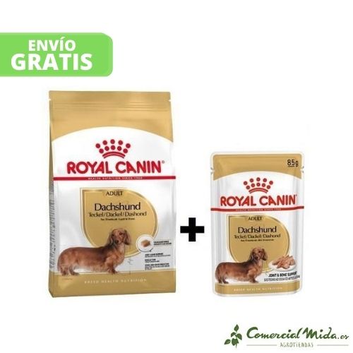 ROYAL CANIN TECKEL ADULTO Saco + Sobres comida húmeda