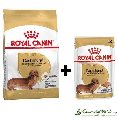 ROYAL CANIN TECKEL ADULTO Saco + Sobres