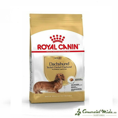 ROYAL CANIN TECKEL ADULTO