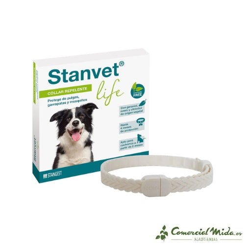 Stangest Collar Stanvet Life Perro