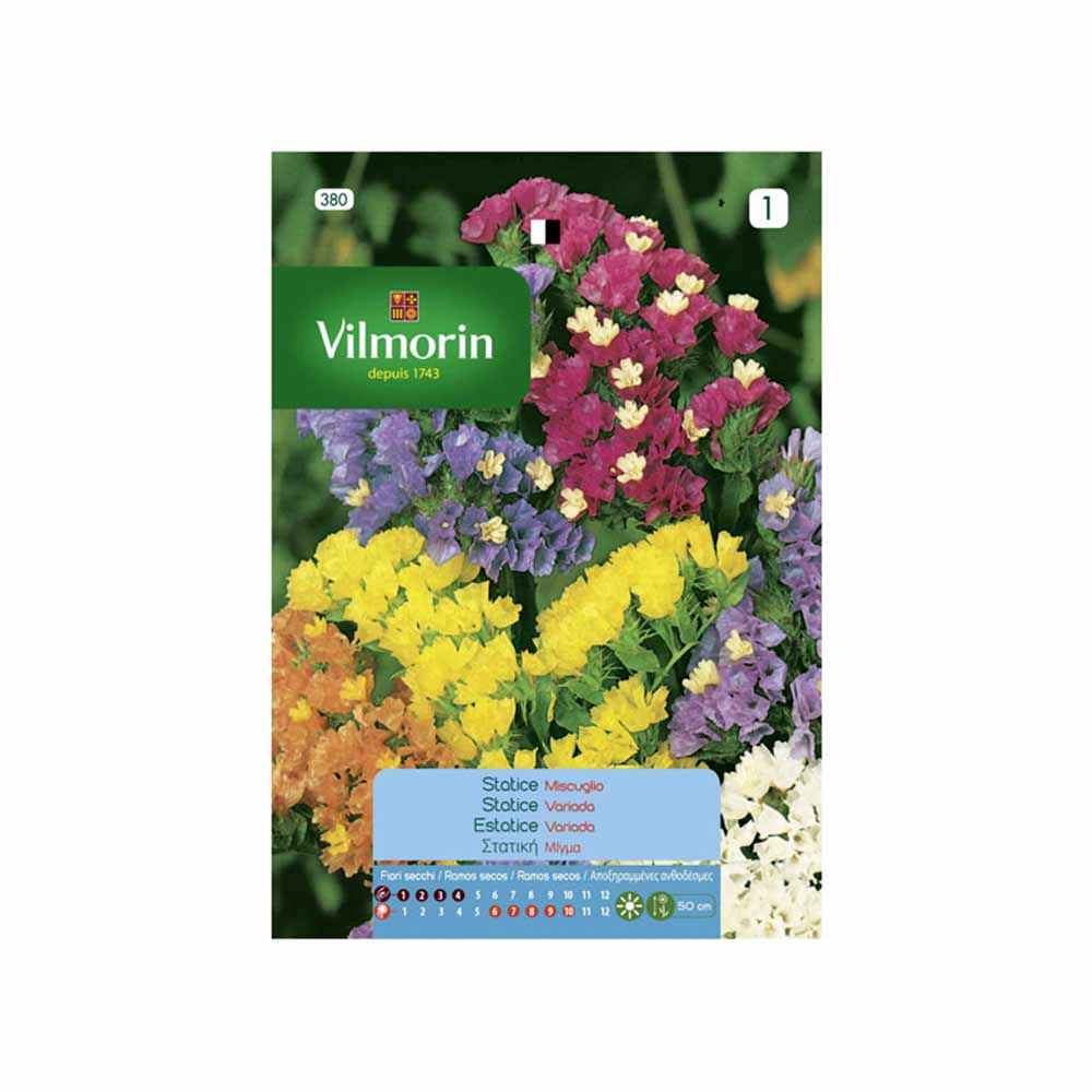 vilmorin saatgut VILMORIN Statice Sinuata Samen 0,5gr