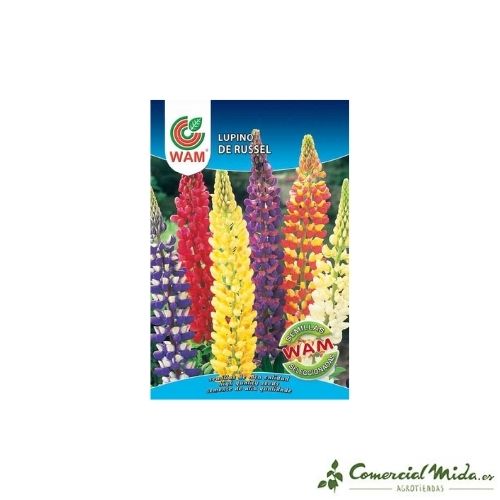 Semillas de Lupino Russel 1,8 gr de Wam